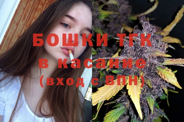 тгк Медногорск