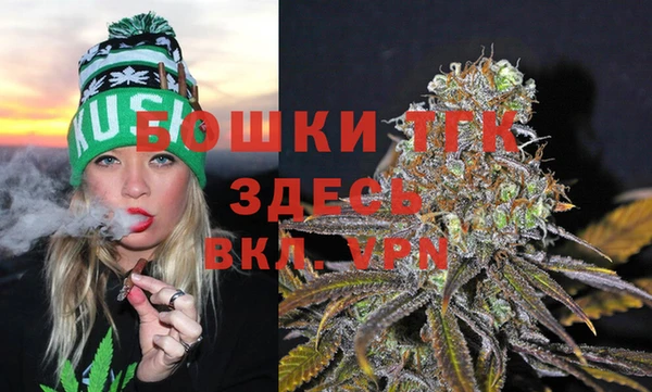 дживик Алагир