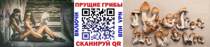 Галлюциногенные грибы Cubensis  Малаховка 